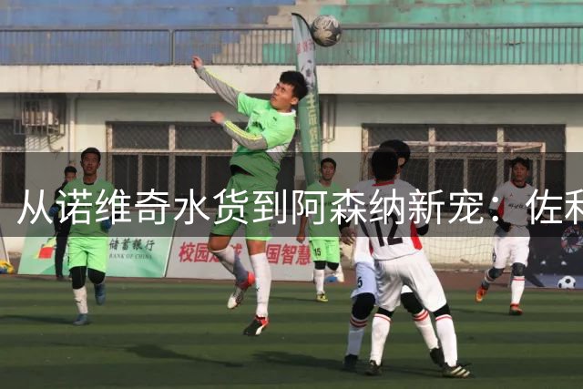 从诺维奇水货到阿森纳新宠：佐利斯22球29助攻的逆袭之路